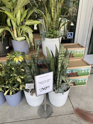 Whole Foods Market by null