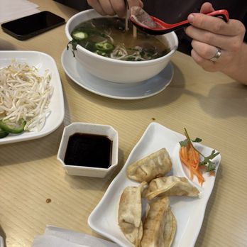 Pho Plus - Brisket Pho P4. PHO CHIN, A8. DEEP-FRIED PORK DUMPLING - Vietnamese Near Me - Avon, Indiana