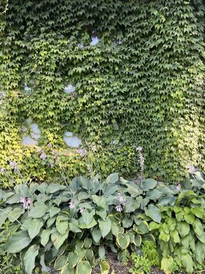 Accord Market by null