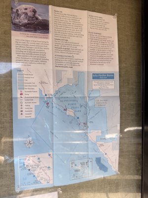 Julia Pfeiffer Burns State Park by null