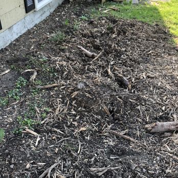 JG Lawn & Snow - Closer look at the roots sticking up out of the ground and the damaged hard. - Landscaping Near Me - Tully, New York
