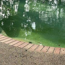 Poolwerx Weatherford - Six days later and this is how the pool looks