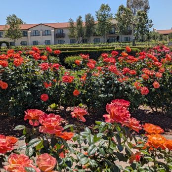 Ponte Winery - Wineries Near Me - Temecula, California