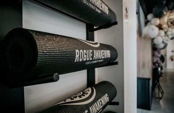 Rogue Awakening - Image 8