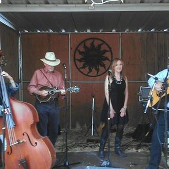 SucherNova Farm - a group of people playing instruments - CSA Near Me - Cotati, California SucherNova Farm - a group of people playing instruments - CSA Near Me - Cotati, California