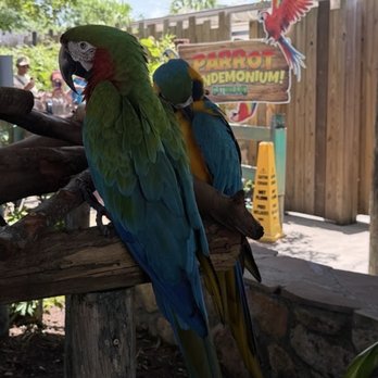 Gatorland - Zoos Near Me - Orlando, Florida Gatorland - Zoos Near Me - Orlando, Florida