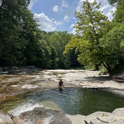 Wintergreen Park
