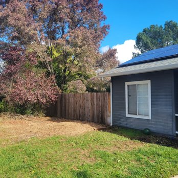 Lovell Tree Service - After - Tree Services Near Me