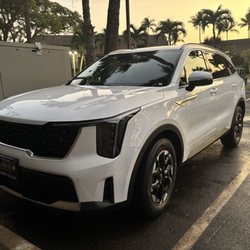 Island Elite Detail