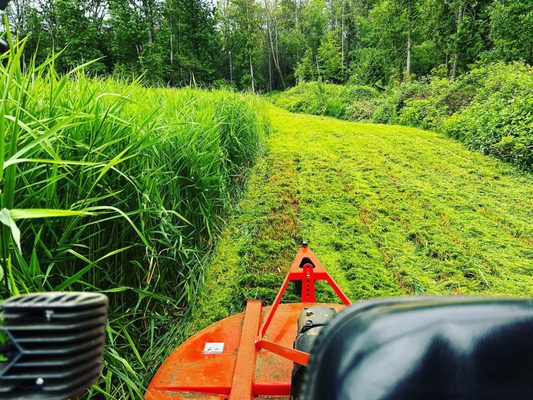 Landscaping & Mowing - Looking to access overgrown areas of your own property, or to sell your undeveloped property? Done Well Services can open access to the property so it can be used for recreation, or to allow potential buyers to better see the land. We can haul out unwanted vegetation, or manage it on-site in some circumstances. Landscaping & Mowing - Looking to access overgrown areas of your own property, or to sell your undeveloped property? Done Well Services can open access to the property so it can be used for recreation, or to allow potential buyers to better see the land. We can haul out unwanted vegetation, or manage it on-site in some circumstances.