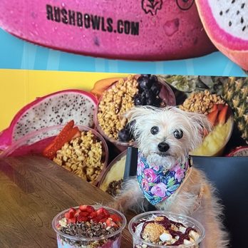 Rush Bowls - Mai Tai Bowl, PB&J bowl - Juice Bars & Smoothies Near Me - San Antonio, Texas Rush Bowls - Mai Tai Bowl, PB&J bowl - Juice Bars & Smoothies Near Me - San Antonio, Texas