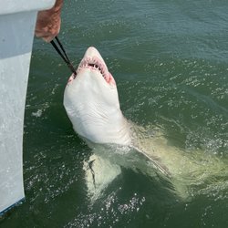 Top Fin Charters