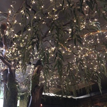 Enchanted Forest - Beautiful lights - Salad Near Me - Placerville, California Enchanted Forest - Beautiful lights - Salad Near Me - Placerville, California