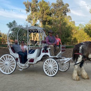 Temecula Carriage Company - Wine Tours Near Me - Temecula, California