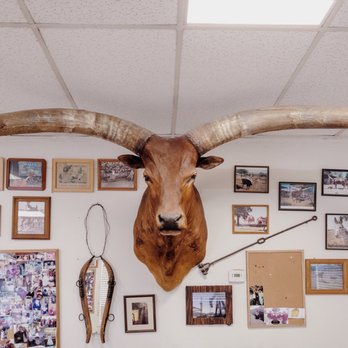 Carla's Cafe - Wonder if he has a name :) - Diners Near Me - Bakersfield, California