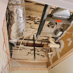 Platinum Fencing & Construction - took down my ugly suspended ceiling