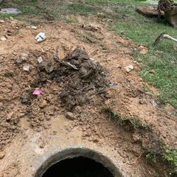 Taylor Plumbing & Septic Service