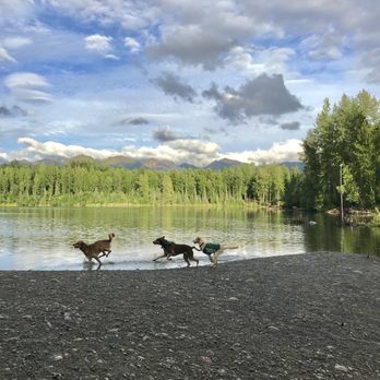 University Lake Dog Park - Dog Parks Near Me - Anchorage, Alaska University Lake Dog Park - Dog Parks Near Me - Anchorage, Alaska