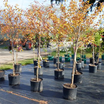 O'Donal's Nursery - Nurseries & Gardening Near Me - Gorham, Maine