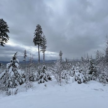 Whitefish Marine - View from the trail at an early point. - Boat Dealers Near Me - Whitefish, Montana