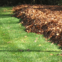 DePaolo and Gagne Landscaping - Spring clean up