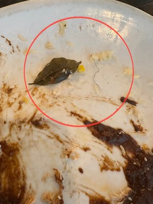 Salsa Tex-Mex Frisco by null