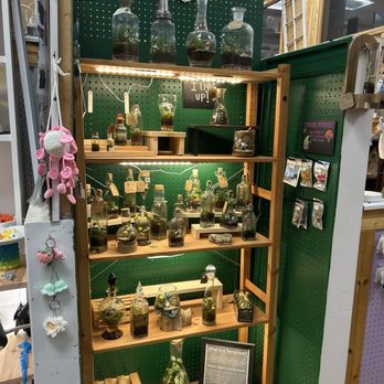 Austin Gift Company - Terrariums - Home Decor Near Me - Austin, Texas Austin Gift Company - Terrariums - Home Decor Near Me - Austin, Texas