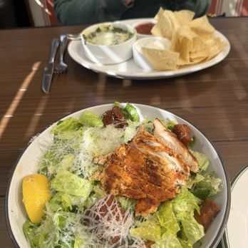 The Charlotte American Bistro - Chicken CAESAR SALAD - Bars Near Me - Dallas, Texas The Charlotte American Bistro - Chicken CAESAR SALAD - Bars Near Me - Dallas, Texas