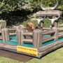 Orange County Mechanical Bulls