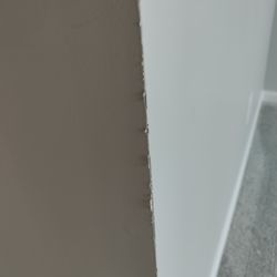 Carpet Decor