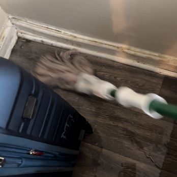 WatersEdge - Mold due to poor maintenance and water damage - Apartments Near Me - Denton, Texas WatersEdge - Mold due to poor maintenance and water damage - Apartments Near Me - Denton, Texas
