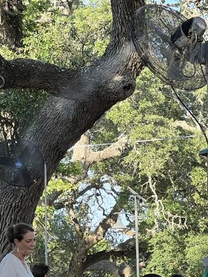 Willie's Joint BAR and GRILL by null