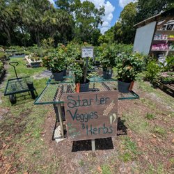 South Seminole Farm & Nursery