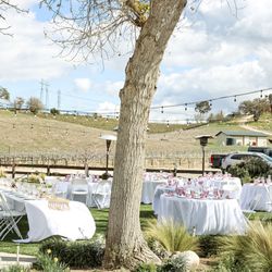 Kuiper Vineyards - Gorgeous outdoor reception set up