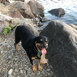 Mini. The rescue. Mini. The rescue.