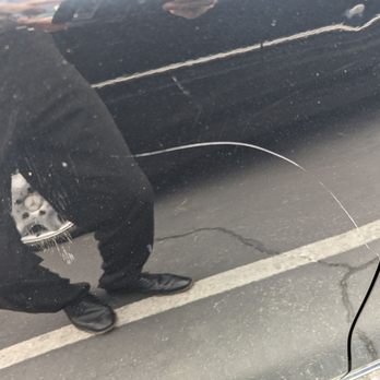 Auto Stiegler - This is the scratch they caused, picture day of me picking the car up. - Body Shops Near Me - Reseda, California