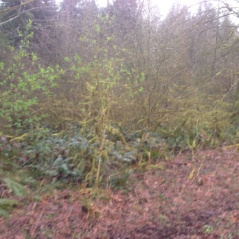Jim Henry Design Services - From this to - Septic Services Near Me - Turnwater, Washington Jim Henry Design Services - From this to - Septic Services Near Me - Turnwater, Washington