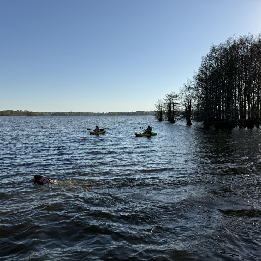 lake darbonne state park - Parks Near Me - Farmerville, Louisiana