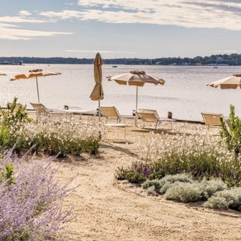 Eddie's - Waterfront landscape at Eddie's at Silver Sands in Greenport, featuring native coastal plantings designed by Edmund Hollander. - Seafood Near Me - Greenport, New York Eddie's - Waterfront landscape at Eddie's at Silver Sands in Greenport, featuring native coastal plantings designed by Edmund Hollander. - Seafood Near Me - Greenport, New York