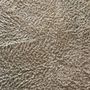Photo of Royal West Carpet Care