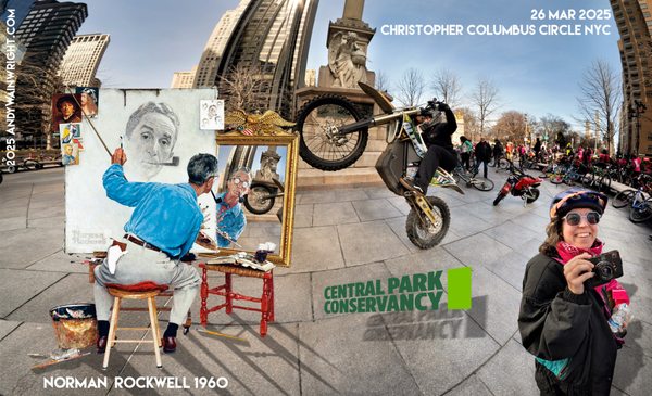 Norman Rockwell Museum by null