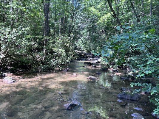 Jones Gap State Park by null