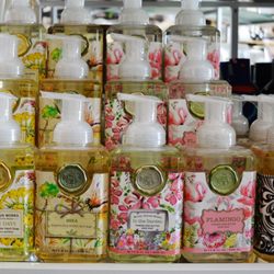 Lifestyles Giftware - Michel Design Works Foaming Hand Soap available in a variety of fragrances