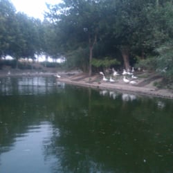 Prado de la Casa - Estanque con patos, cisnes y tortugas en el Prado de la Casa