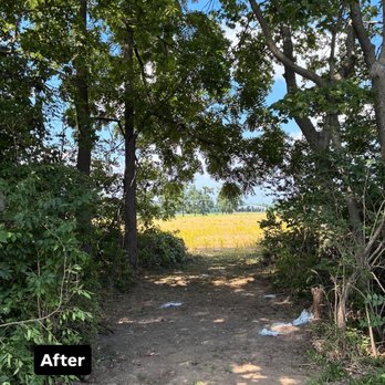 Gilmore Property Service - Area fully cleared of tree, brush, trash and rocks, with roots and large obstacles marked - Lawn Services Near Me - Grove City, Ohio Gilmore Property Service - Area fully cleared of tree, brush, trash and rocks, with roots and large obstacles marked - Lawn Services Near Me - Grove City, Ohio