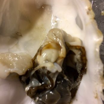 Sunh Fish - Seafood Markets Near Me - Sacramento, California Sunh Fish - Seafood Markets Near Me - Sacramento, California