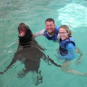 Coral World Ocean Park - Swimming with Omar! - Aquariums Near Me - St Thomas, Virgin Islands Coral World Ocean Park - Swimming with Omar! - Aquariums Near Me - St Thomas, Virgin Islands