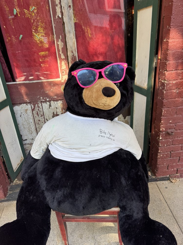 St Charles Place Logo