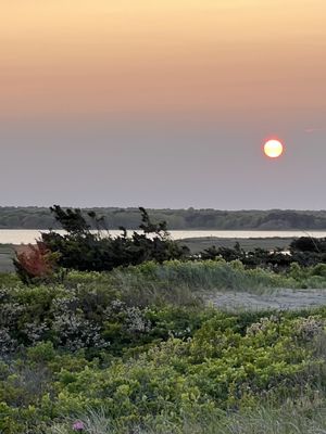 Joseph Sylvia State Beach by null