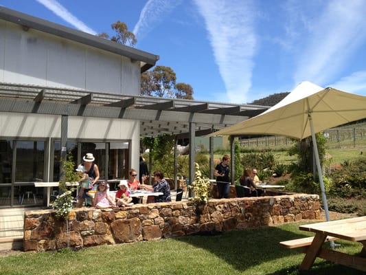 Mount Majura Vineyard by null
